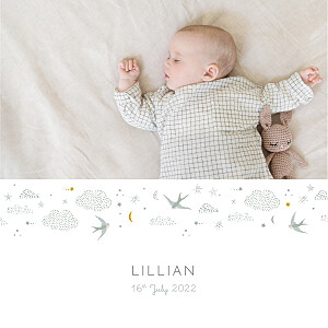 Dreamland (4 pages) blue baby announcements Dreamland (4 pages) blue baby announcements