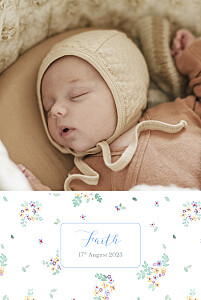 Primrose hill (portrait) white photo baby announcements Primrose hill (portrait) white photo baby announcements