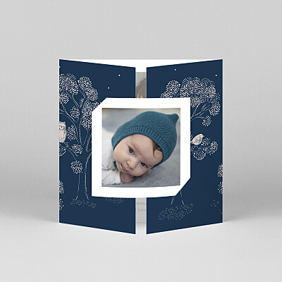 Bedtime story (gatefold) blue baby thank you cards 睡前故事(门钉)蓝色宝贝谢谢卡片
