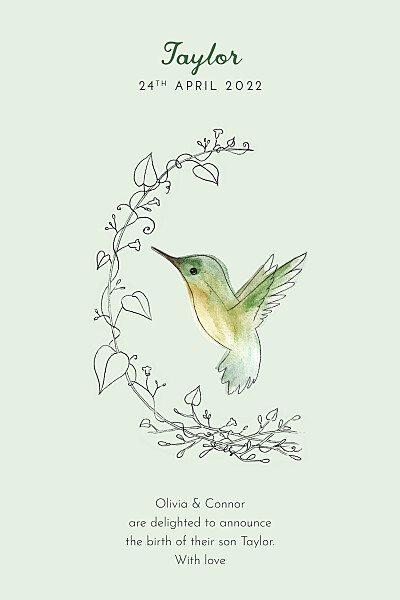 Baby Announcements Little hummingbird (portrait) green finition