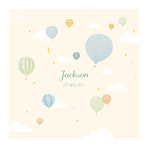 Little highflyer blue baby thank you cards Little highflyer blue baby thank you cards