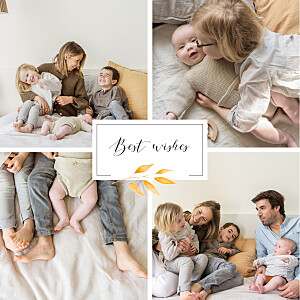 Lovely laurel (emblem) white christmas cards 可爱的月桂(象征)白色圣诞卡betway必威开户网站