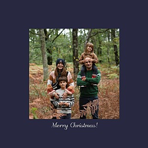 Festive leaves (4 pages) blue christmas cards 节日假期(4页)蓝色圣诞卡betway必威开户网站