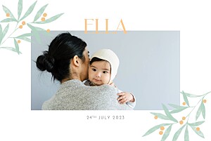 Evergreen bay (4 pages) landscape green green baby announcements Evergreen bay (4 pages) landscape green green baby announcements