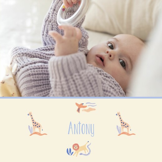 Baby Announcements Savanna Parade (4 pages) Beige - Page 1