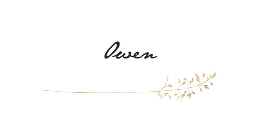 Wedding Place Cards Country Meadow Sand - Page 1 Wedding Place Cards Country Meadow Sand - Page 1