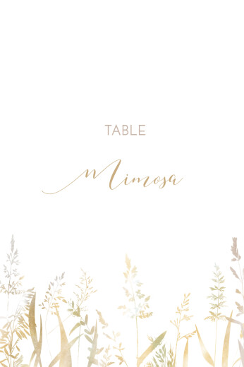 Wedding Table Numbers Country Meadow Sand - Front
