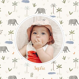Little oasis (4 pages) beige baby announcements 小绿洲(4页)米色婴儿公告