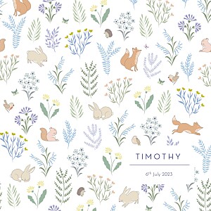 Woodland friends (4 pages) blue boys baby announcements Woodland friends (4 pages) blue boys baby announcements