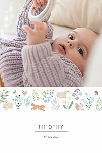 Woodland friends (portrait) blue boys baby announcements Woodland friends (portrait) blue boys baby announcements