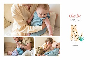 Into the wild (landscape) white animal baby announcements Into the wild (landscape) white animal baby announcements