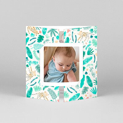 Into the wild (gatefold) baby announcements 进入野外(大门折叠)婴儿公告