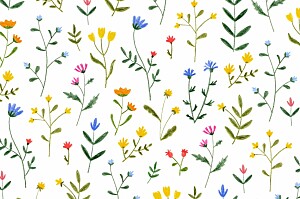 Wild flowers white notecards Wild flowers white notecards