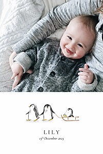 Atop the ice caps (4 pages) portrait white baby thank you cards Atop the ice caps (4 pages) portrait white baby thank you cards