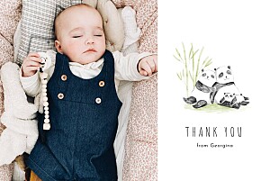 Panda family (landscape) white vintage baby thank you cards Panda family (landscape) white vintage baby thank you cards