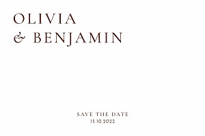 Laure de sagazan ii (foil) white & rosewood white save the dates Laure de sagazan ii (foil) white & rosewood white save the dates