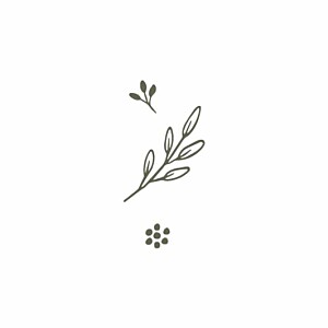 Laure de sagazan ii white & green wedding gift tags Laure de sagazan ii white & green wedding gift tags