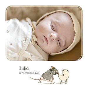 Ernest et célestine i white green baby announcements Ernest et célestine i white green baby announcements