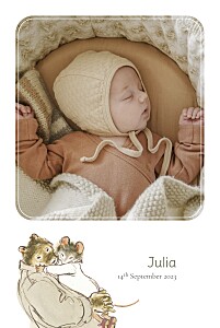 Ernest and celestine i (portrait) white green baby announcements Ernest and celestine i (portrait) white green baby announcements