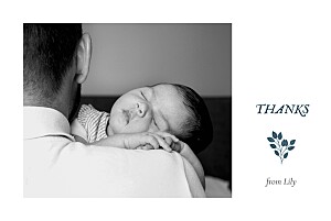 Verdure bouquet (4 pages) blue baby thank you cards Verdure bouquet (4 pages) blue baby thank you cards