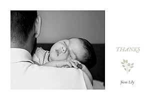 Verdure bouquet (4 pages) green green baby thank you cards Verdure bouquet (4 pages) green green baby thank you cards
