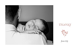 Verdure bouquet (4 pages) pink pink baby thank you cards Verdure bouquet (4 pages) pink pink baby thank you cards