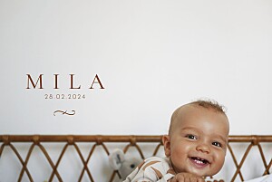 Solfa (landcape) 4 pages brown boys baby announcements Solfa (landcape) 4 pages brown boys baby announcements