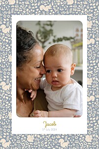 Liberty squirrel blue boys baby announcements Liberty squirrel blue boys baby announcements