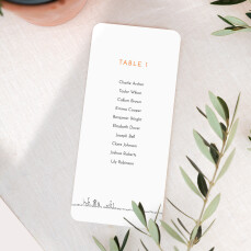 Wedding Table Plan Cards Rustic Promise White