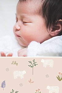 My little bear (4 pages) pink baby announcements My little bear (4 pages) pink baby announcements