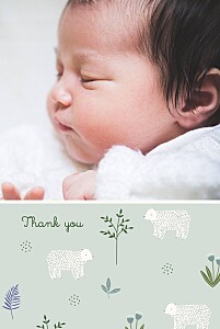 My little bear (4 pages) portrait blue blue baby thank you cards My little bear (4 pages) portrait blue blue baby thank you cards