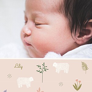 My little bear (4 pages) pink spring baby announcements My little bear (4 pages) pink spring baby announcements