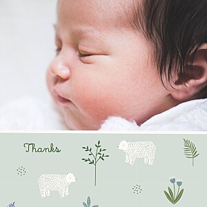 My little bear (4 pages) square blue blue baby thank you cards My little bear (4 pages) square blue blue baby thank you cards