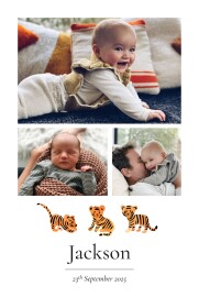 Baby Announcements Little tiger (4 pages) White