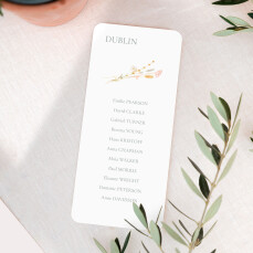 Wedding Table Plan Cards Bohemian garden White