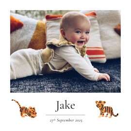 Baby Thank You Cards Little tiger White